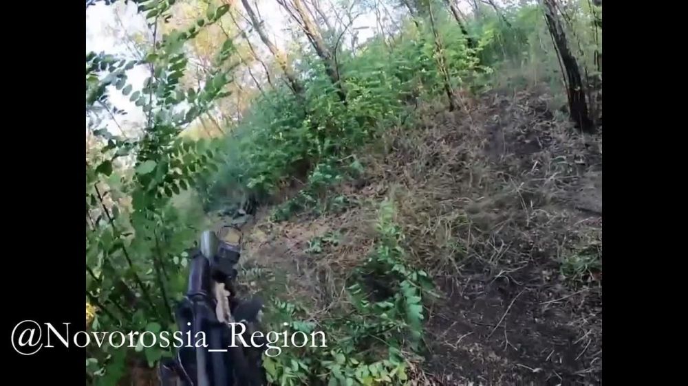 ����� �������, � ������ ������������ - ��������� ������� ������������ ��� ������� ��������� ��� ��� ��������