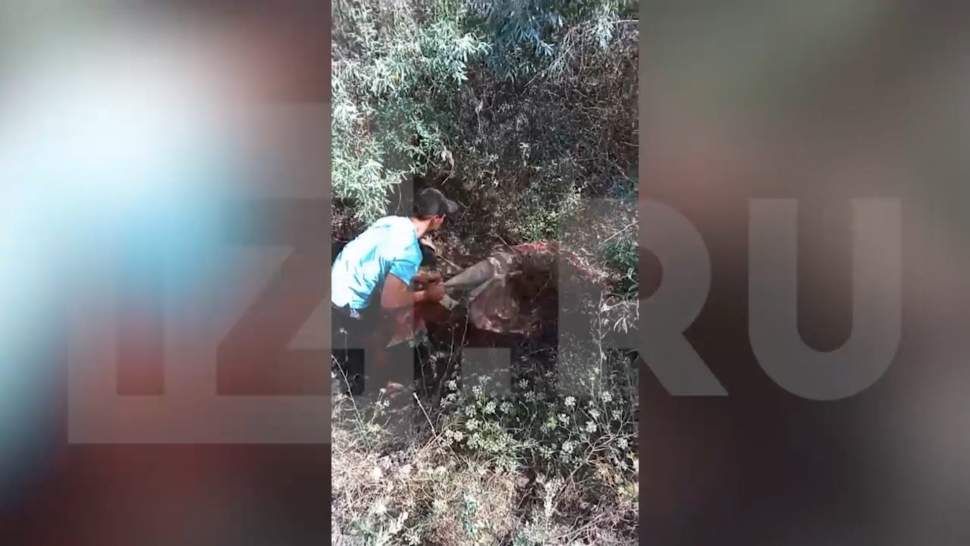 � ������� ��������� ����� ���������� ���