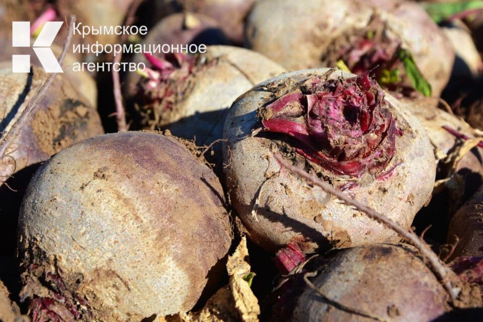 � ����������� �� ������ ������� 700 ���� ������ �� �������