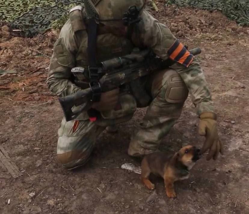 �������������� 604-�� ��� �������� ����� ������������ ��������� �������� �����