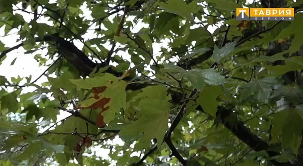 � 1 �������� ���� ����� ���������� ��������� �������� �1 ����������� ���������� ������