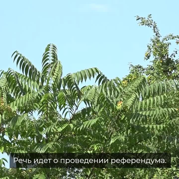 �������� ������������ ������� ����� ����������� �������� ���������-���������� �������� ����������� ����� ����� ��������� �� ������� ��������� � ������� ����������� ������ ���������� �������