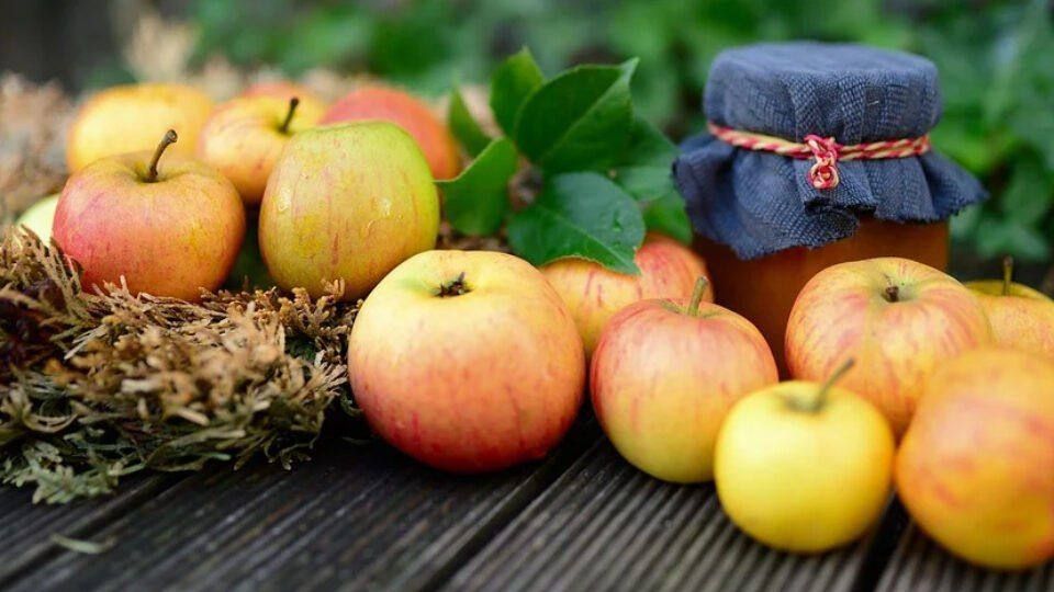 �������, 19 �������, ������������ ��� ��������� ������������ ��������, ������� � ������ �������� ������ ������