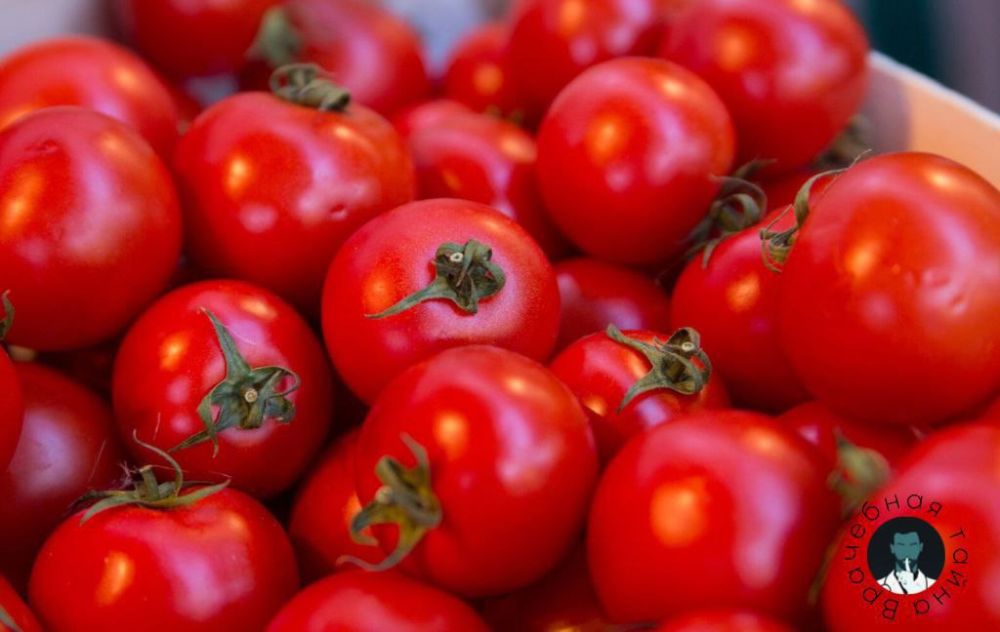 ������ �� ������ ������ ���������