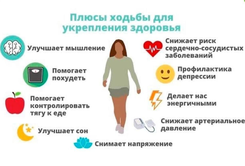 ������ ������� ������ ������