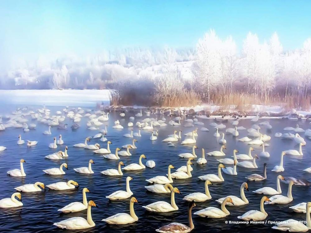 ������� �������������� �������� ���������� ��������� �������� "����� �������� ������"