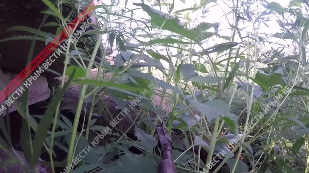 � ������� ���������� �������� ��������� ����� ������� ������� ��������� ������� � �������