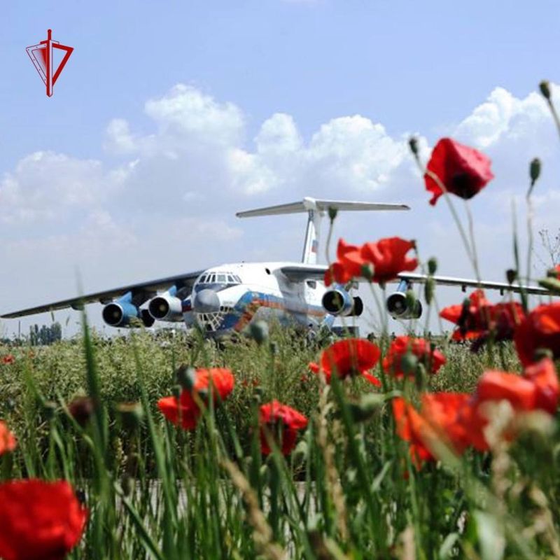 ������� �������������� � ���������� ����������� ������������� ���������� �������� ���� ���������� ����� ������ �...