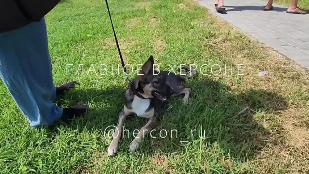 �� ����������� ������ �� ������ ������� ������, �� � ������������ �������� �����