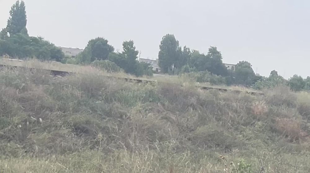 ������� ��������� �������� �� �������� �� ������� ��� ���������� ��� � ����������