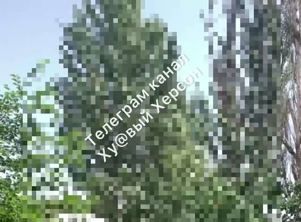 ��� �������� �������� �������� ���������������� �������