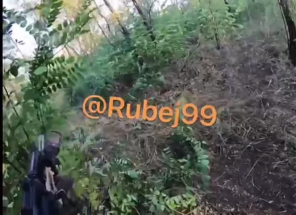 ���������������� ����������� �������� � �������� �� ���������� �����������