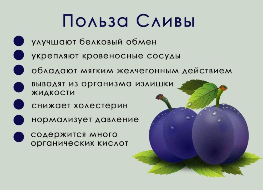 �����, ��� � ������ ������, �������� ����������� �������������