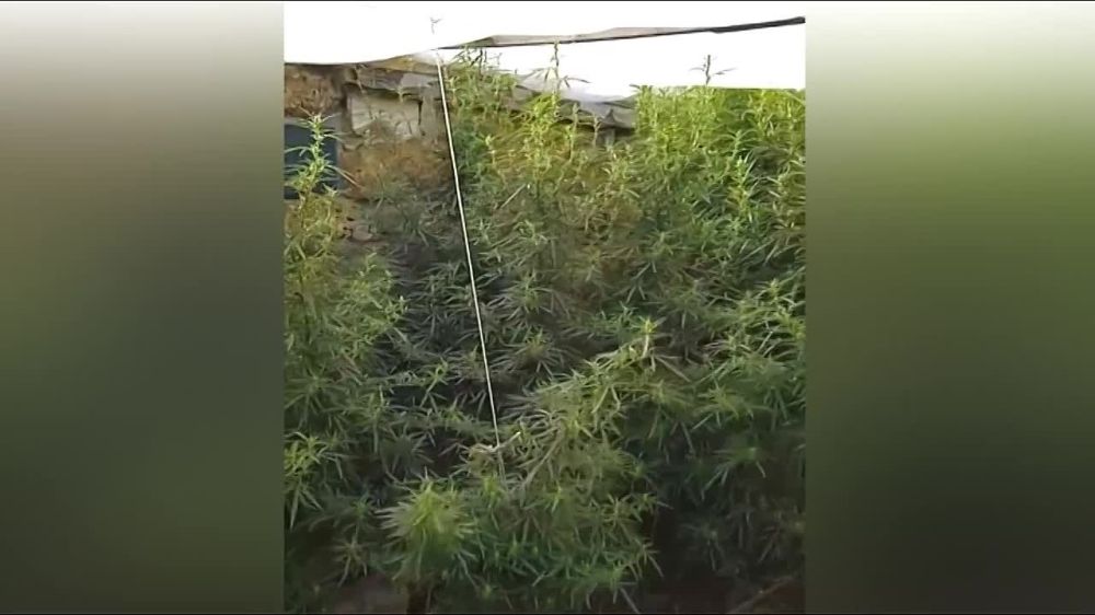 � ��������� ����������� ���������� � ������ ����� � �������