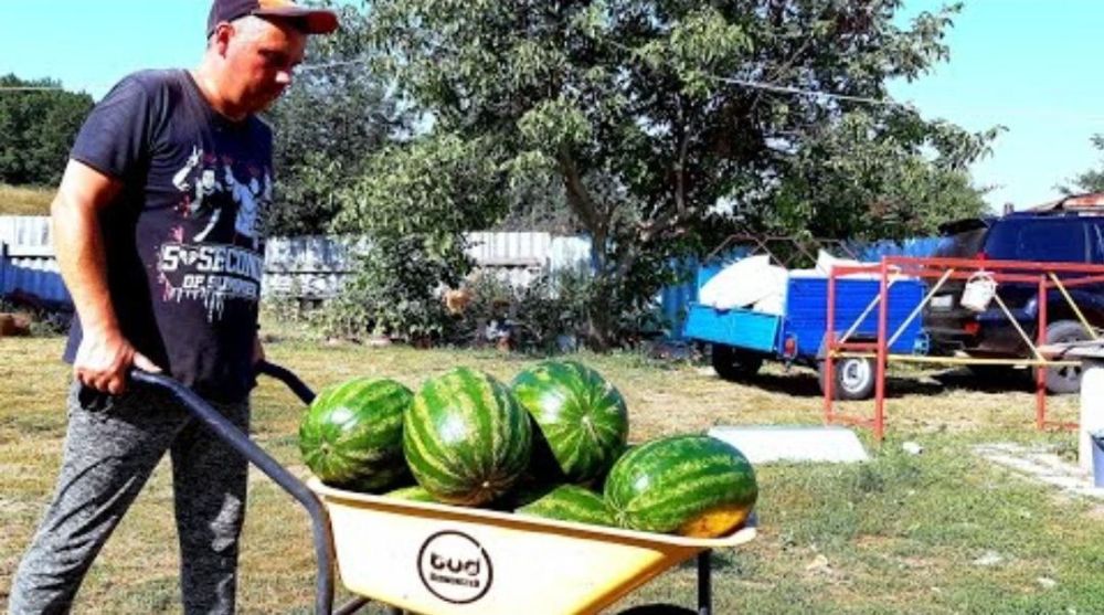 ���������� ����� � ����������� ������ ����� ������ �� 10 � �� 1 ��