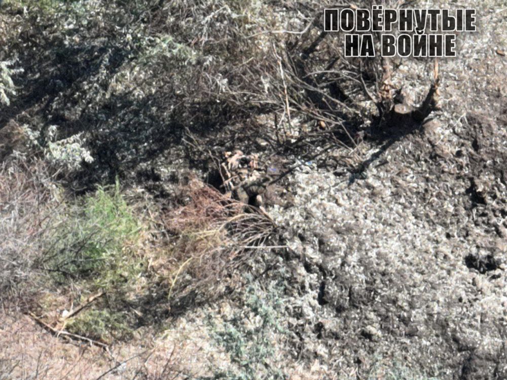 ������������ �������� � ������ ���� ����������� (�� 2016� �������������), ������������ �������