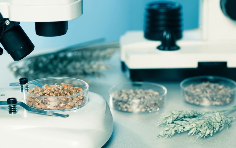 ��������� ������������ ������ ������� � ���������