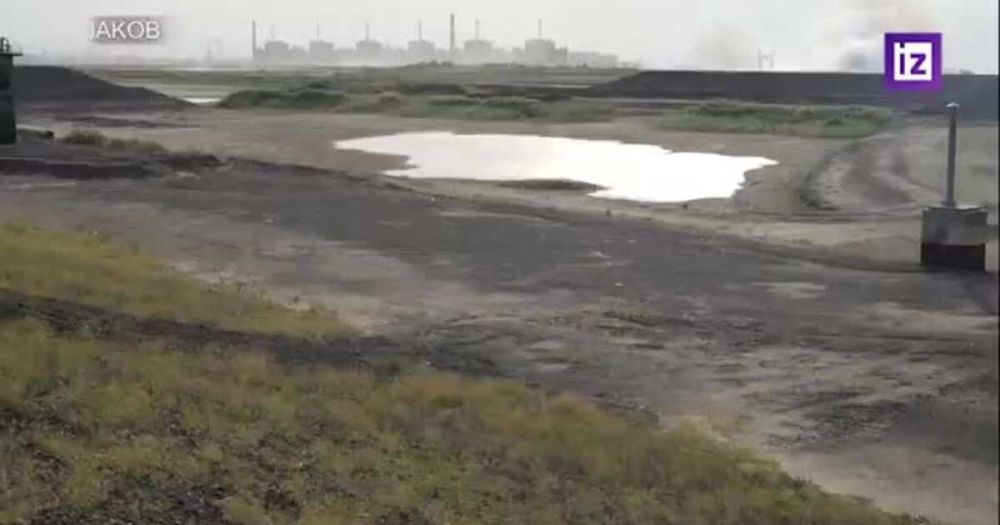 ������� "��������" ������� ���������� ����� ���� ����� ��������� ���