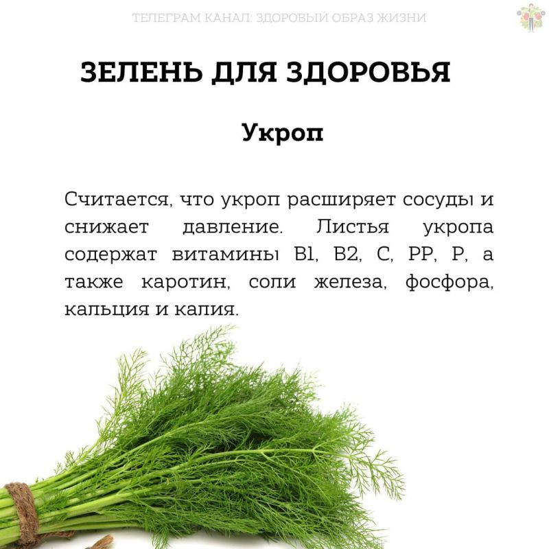 ������ ��� ��������.. #��������