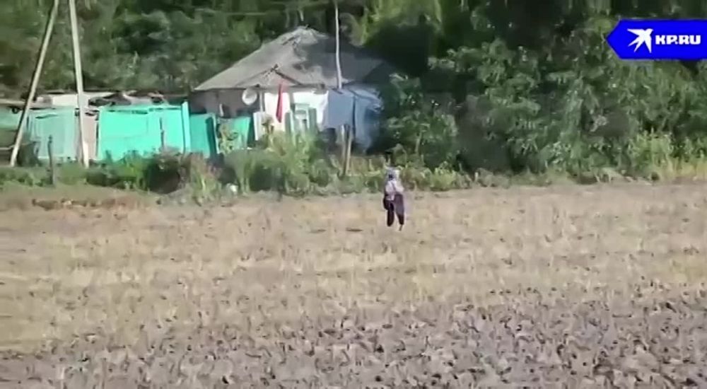 ����� ������������ ����� �� �����������: ���������� ����������� �������� ���������� ������������ �������