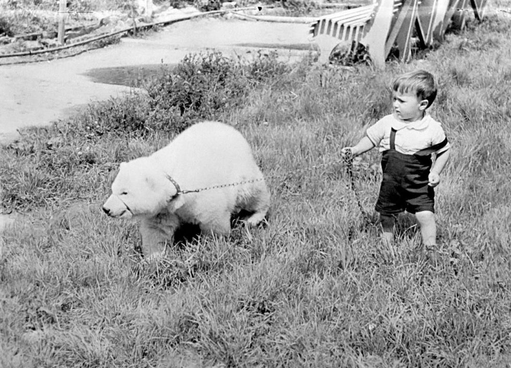 ��� ����� ��� ������