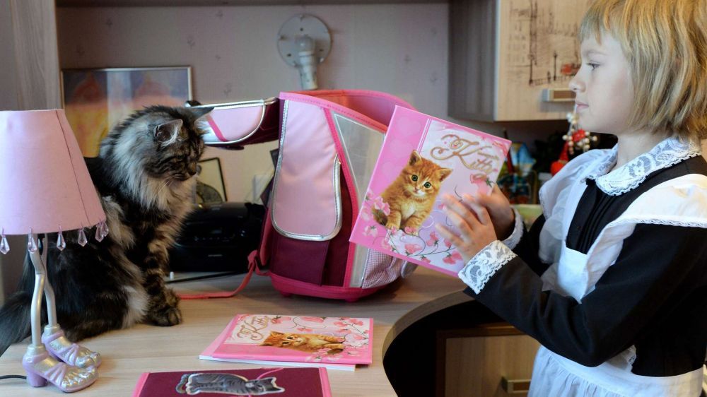 ����� 15 ����� �������� ������ � ����� ���������� ������� � ������