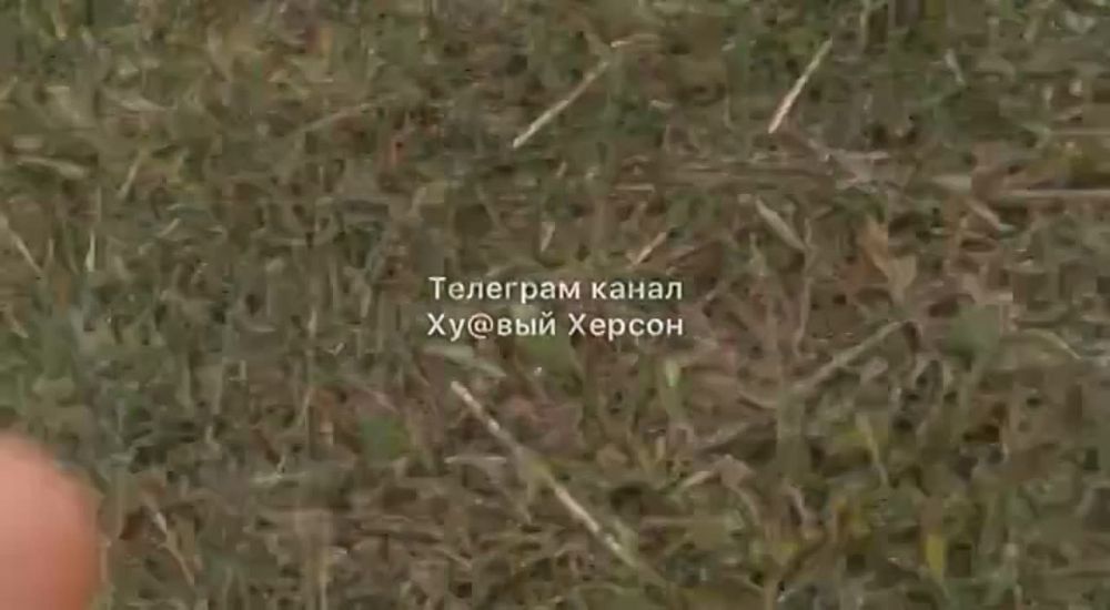 ���������� ���������� ��-25�� � ���� ��� ���������� ��������