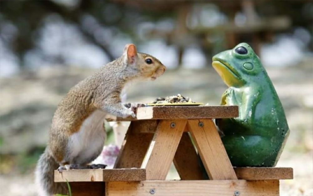 ������� ������� � ������. ������� ���� ���� � ������ ������. ���� ����� ������ �������������� ����� � ���