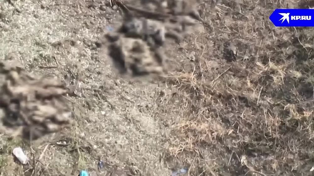 ��� ��, ��������� ������, ����� ��� �������� � �����������