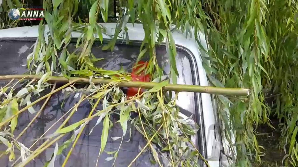 ����� ���������� ���������� ������ � ������� �� �������� �������