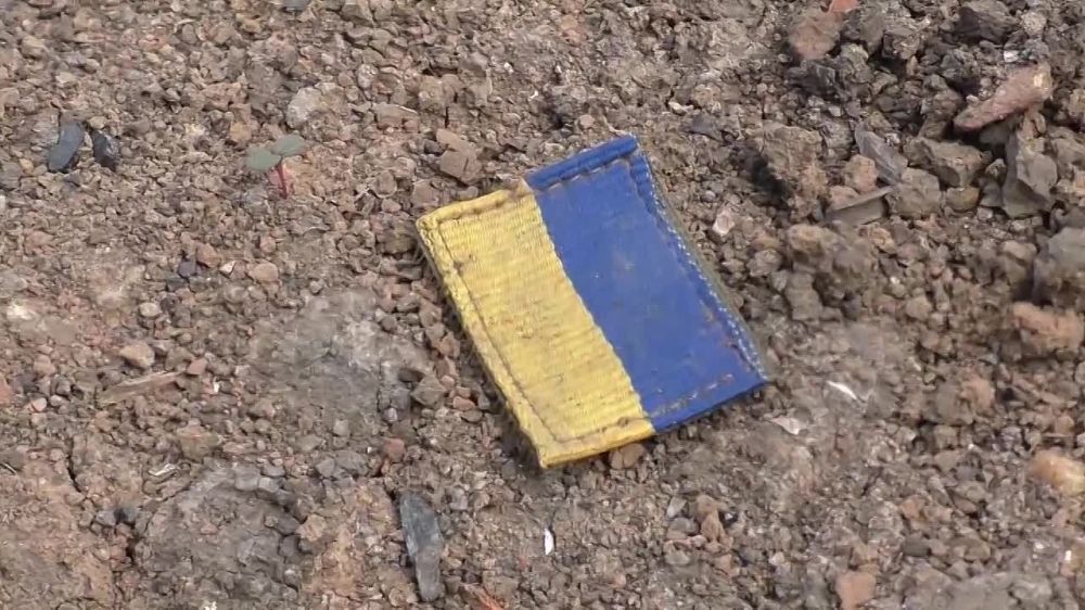 ����� ������������ ���������� �������� ��������-��������� ����� ����������� ������ ����������� � ������������ ������� �� ������������� ���