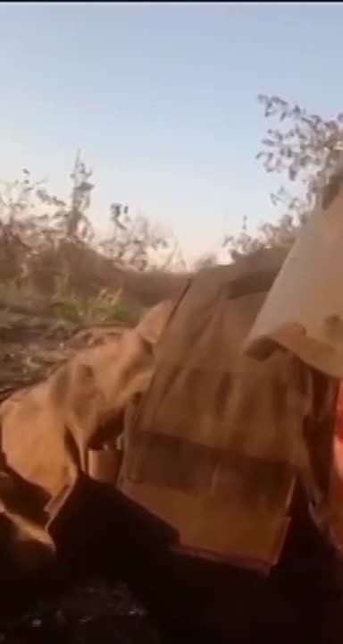 � ���������� Telegram-������� ���������������� ����� � ������ ����������� �� ������ � �������� ������ �������������� �������