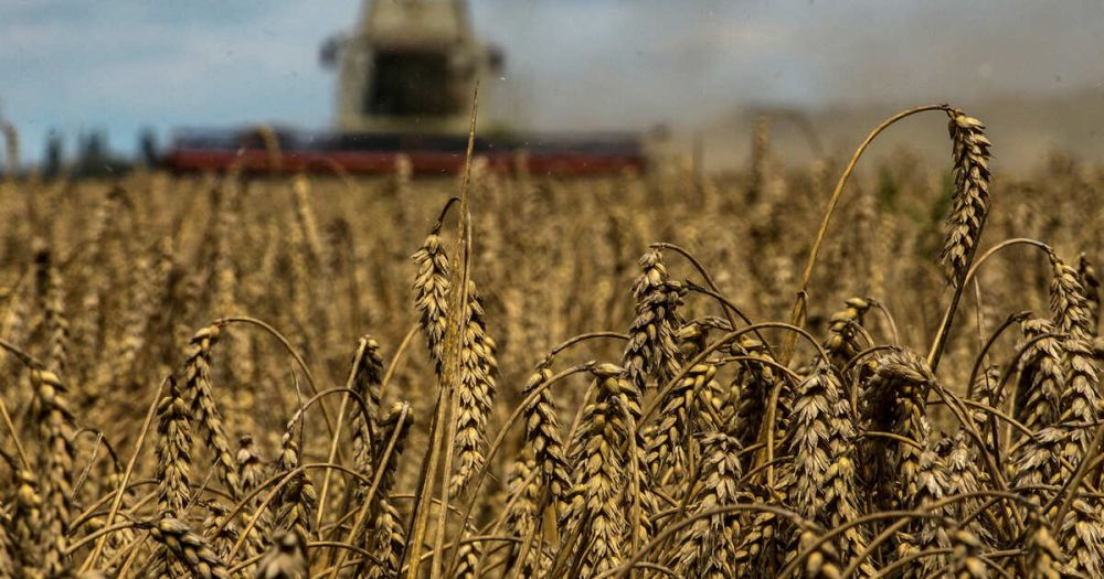 ��� ���������� ��������� � ������ ��� ����������