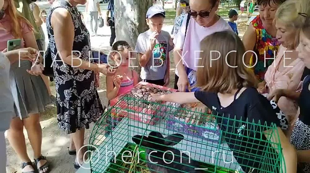 ����� � ������� ��� ����� ������� �������� � ����� ��� ������