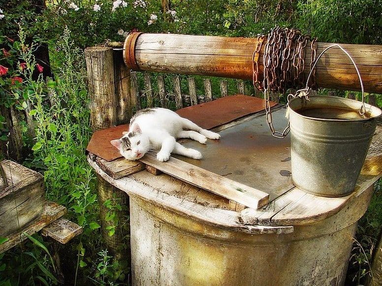 ���������� ����������� ���������� ��������� ������ ���������� ����������� ����������