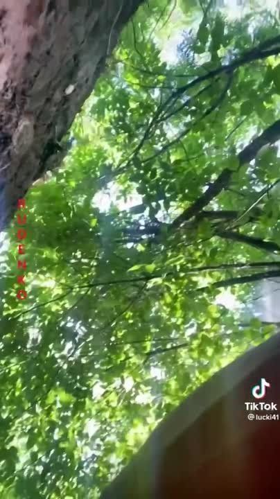 � ��� ��� �� ����� ���� �������� ������� ��� ���������