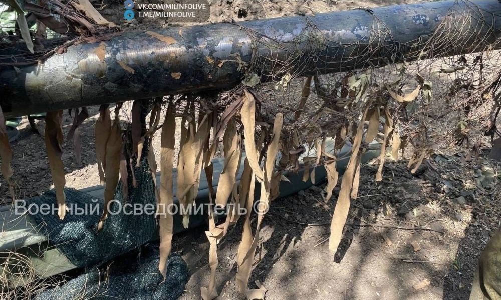 ����� � ����� ��������