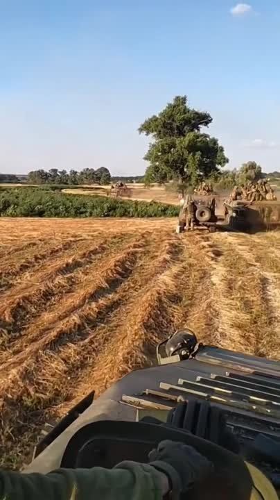 ����������� ���� ������� ����� ������ "����������������" � ���������� �������