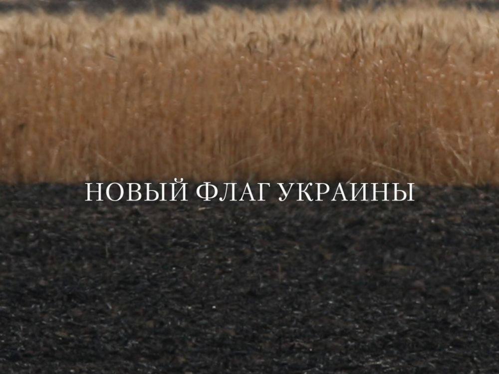 ������ ����������: ������ ������� ����� ������� ������ ����� �������� ��� ����