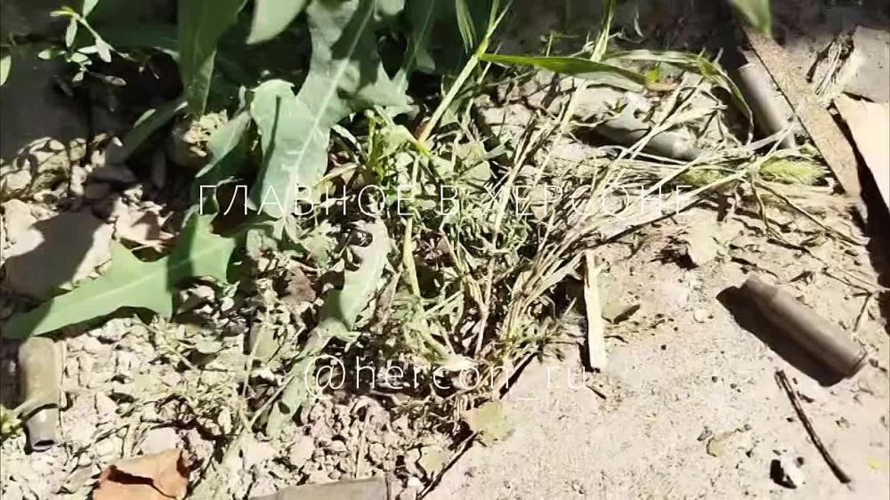 ����� � ����� �������� ����������� ������ ����������� ��� � ��� ������� �� ������� ������� �������������