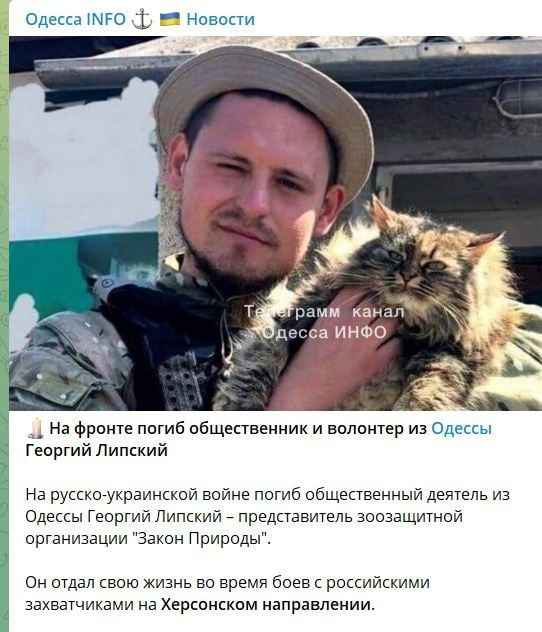 ����� ���������������� ���: � ��� ������ ���������� ���������