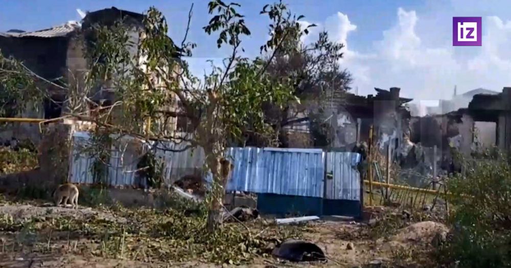 ����� 20 ����� ���������� � ����� ������� ��� �������� ���