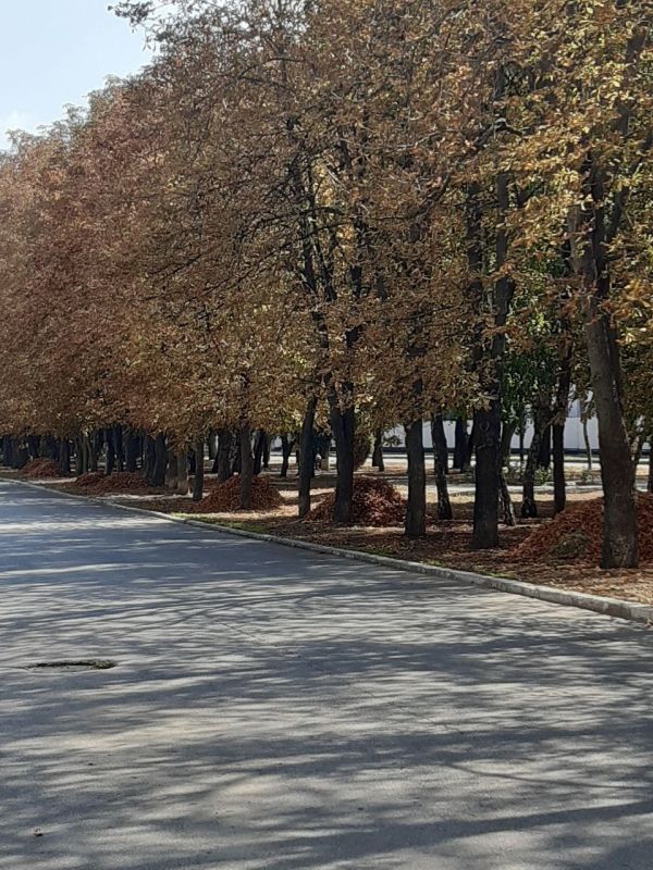 �� "�����������-������������ �����������" �����������