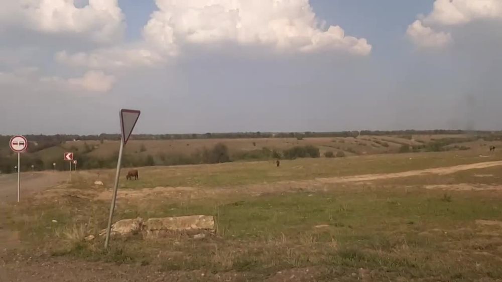 �� ������ ���������� ������� 30 ������� ��������� ������� ���������