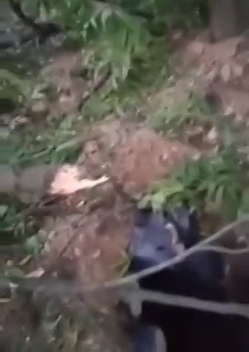 ���������� ������� ������� ���� ������������ �������, ��� ��������� ���������� ������� ����������� �� ���������� �����������