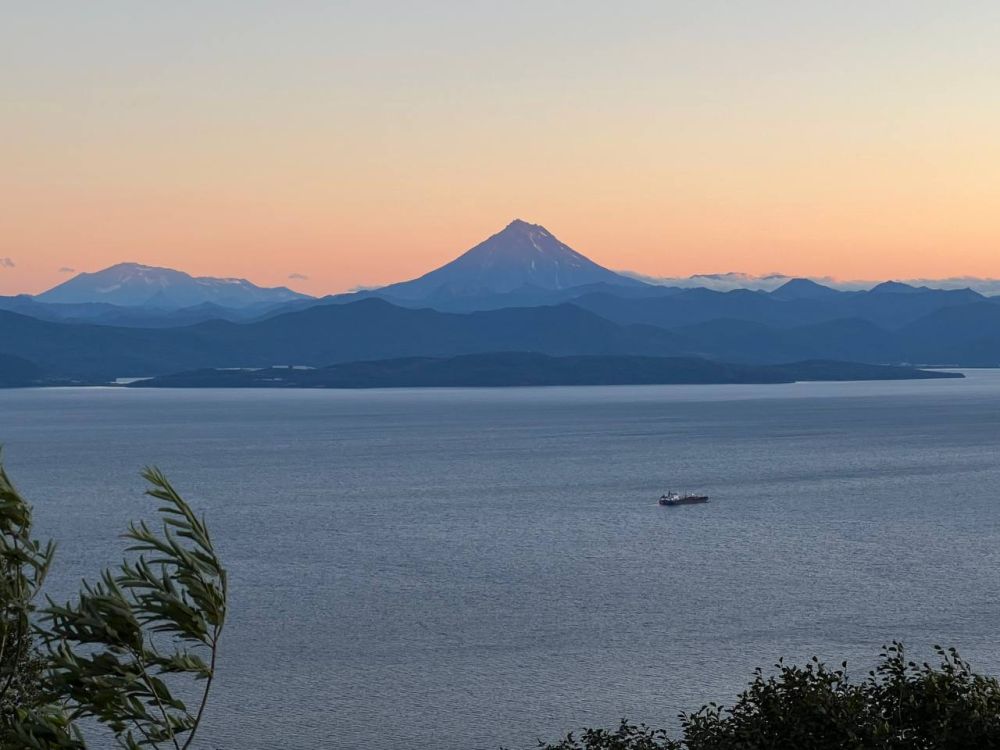 40 ����� �� ������������ ���������� ����������� �� ��������