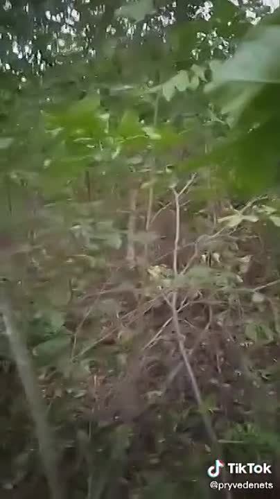 ������������ ��� ����������