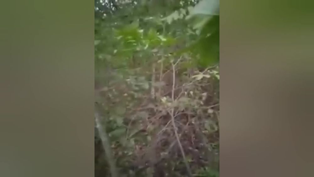 ���������� ����� ������������, ��� �� ��� ���������������� �� ������