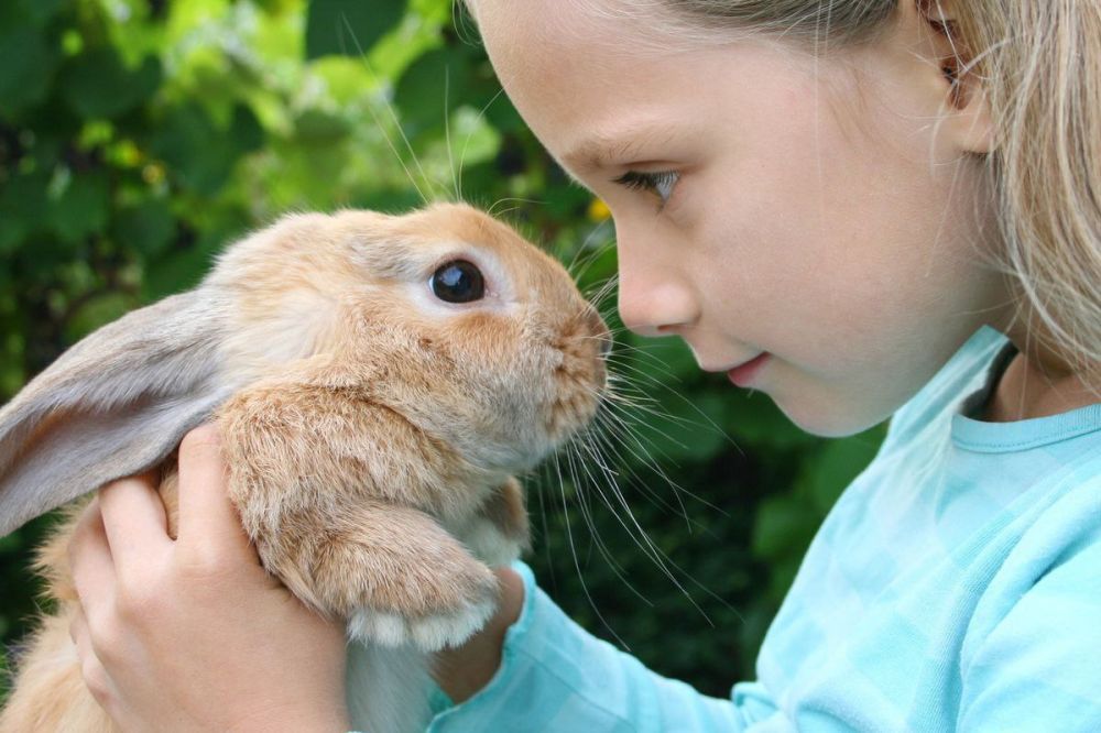 � ������� �������� ���������� �������