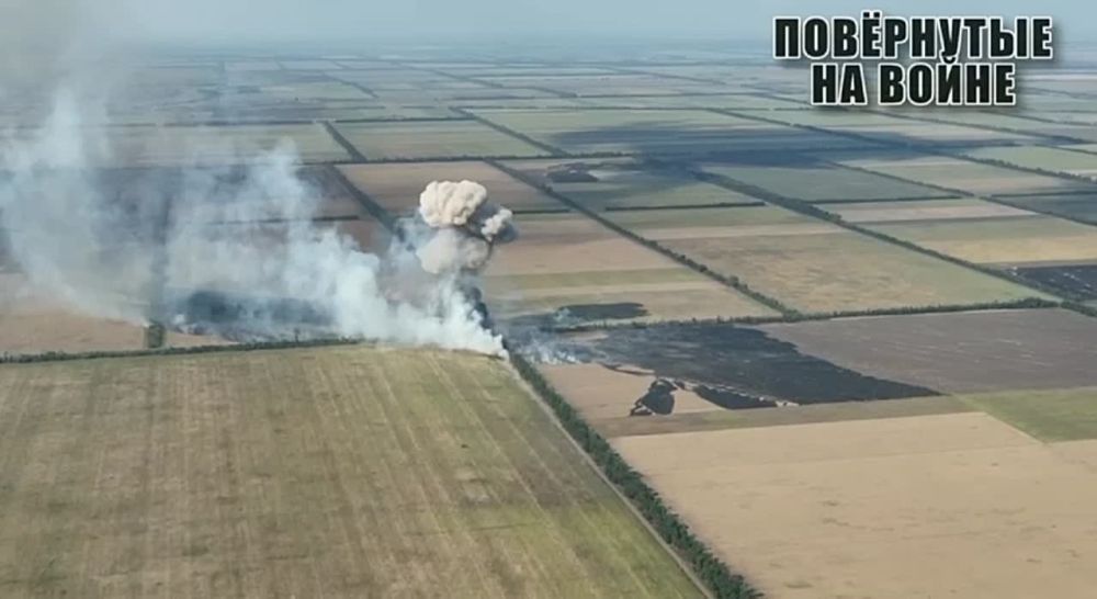 ��������� ���������, ��� ������� �����, 31 �������, ��� ����� �������� ��������� � �� ���� ��� � ������ ����� �������